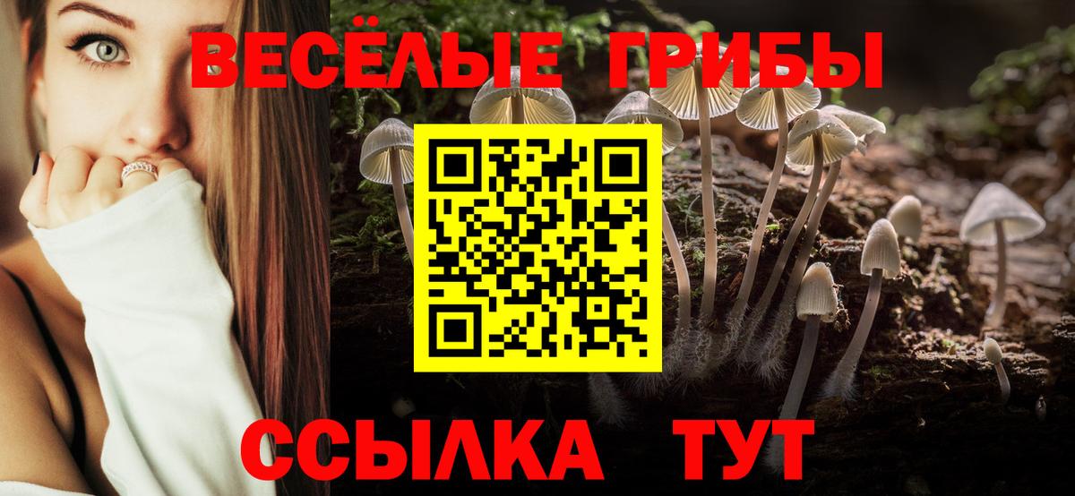 Галлюциногенные грибы GOLDEN TEACHER Урус-Мартан