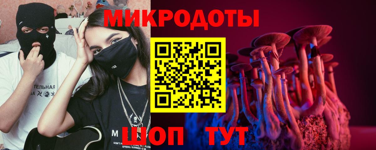 купить   Вход с VPN  Урус-Мартан  Галлюциногенные грибы GOLDEN TEACHER 